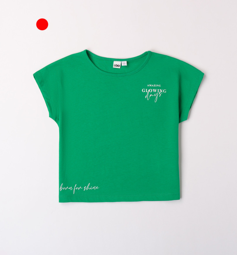 Camiseta